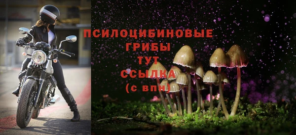 индика Кодинск
