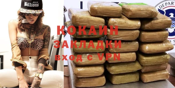 индика Кодинск