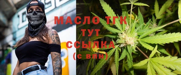 индика Кодинск
